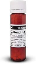 Illustration: Calendula Officinalis — homeopathic antiseptic for cuts and wounds